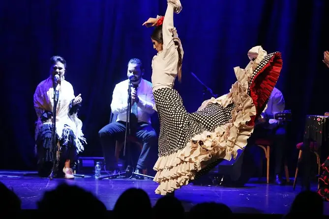 Flamenco Show